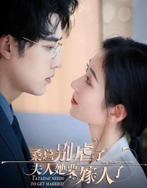 长夜如灯 热播电视剧全集